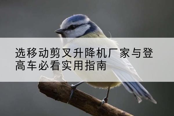 青岛电动升降机厂家-选移动剪叉升降机厂家与登高车必看实用指南