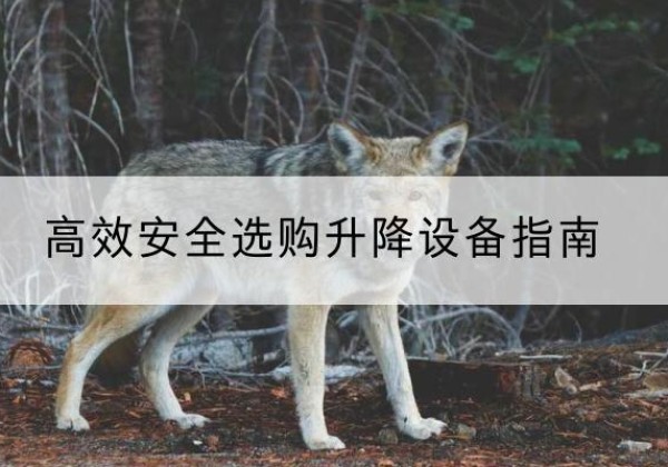 青岛升降货梯厂家推荐-*安全选购升降设备指南